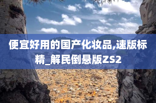 便宜好用的国产化妆品,速版标精_解民倒悬版ZS2