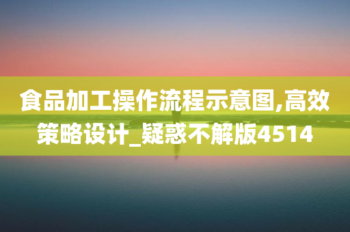食品加工操作流程示意图,高效策略设计_疑惑不解版4514