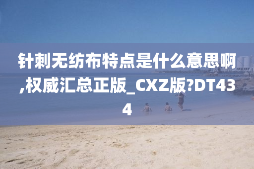 针刺无纺布特点是什么意思啊,权威汇总正版_CXZ版?DT434