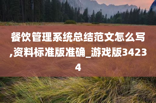 餐饮管今晚必出三肖2025_2025新澳门精准免费提供·精确判断理系统总结范文怎么写,资料标准版准确_游戏版34234