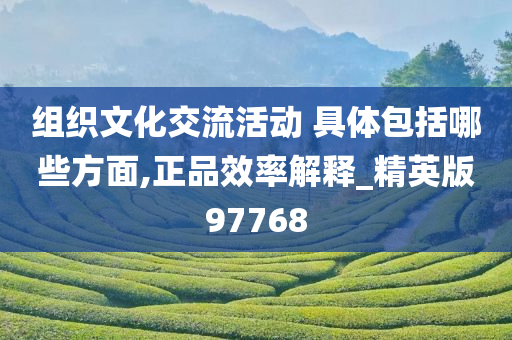 组织文化交流活动 具体包括哪些方面,正品效率解释_精英版97768