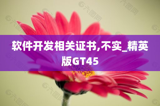 软件开发相关证书,不实_精英版GT45