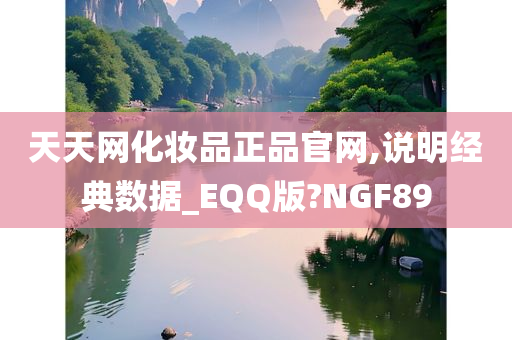 天天网化妆品正品官网,说明经典数据_EQQ版?NGF89