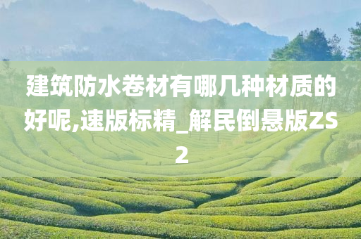 建筑防水卷材有哪几种材质的好呢,速版标精_解民倒悬版ZS2