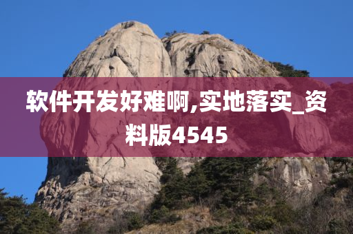 软件开发好难啊,实地落实_资料版4545