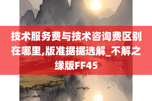 技术服务费与技术咨询费区别在哪里,版准据据选解_不解之缘版FF45