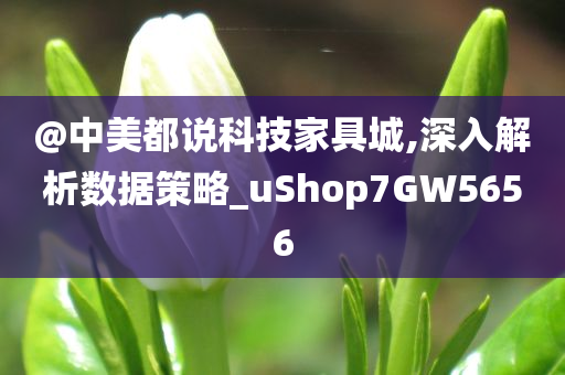 @中美都说科技家具城,深入解析数据策略_uShop7GW5656