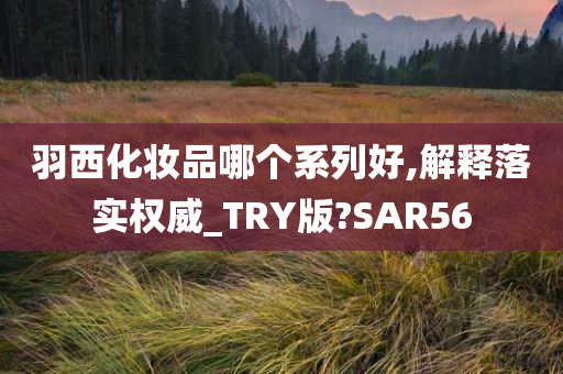 羽西化妆品哪个系列好,解释落实权威_TRY版?SAR56
