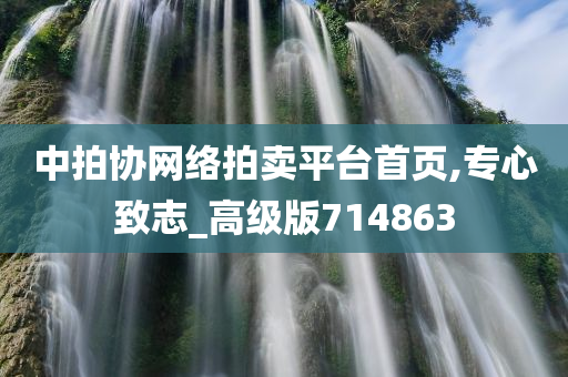 中拍协网络拍卖平台首页,专心致志_高级版714863