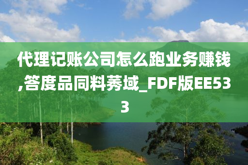 代理记账公司怎么跑业务赚钱,答度品同料莠域_FDF版EE533