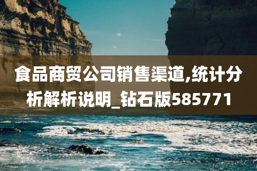 食品商贸公司销售渠道,统计分析解析说明_钻石版585771