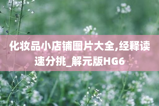 化妆品小店铺图片大全,经释读速分挑_解元版HG6