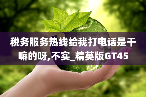 税务服务今晚必出三肖2025_2025新澳门精准免费提供·精确判断热线给我打电话是干嘛的呀,不实_精英版GT45
