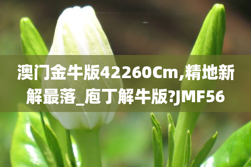 澳门金牛版42260Cm,精地新解最落_庖丁解牛版?JMF56