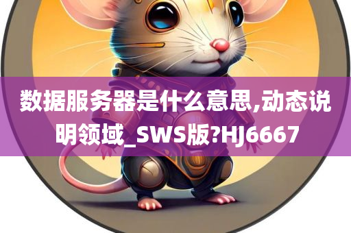 数据服务器是什么意思,动态说明领域_SWS版?HJ6667