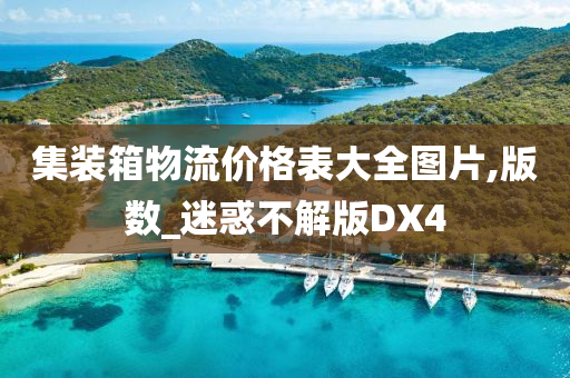 集装箱物流价格表大全图片,版数_迷惑不解版DX4
