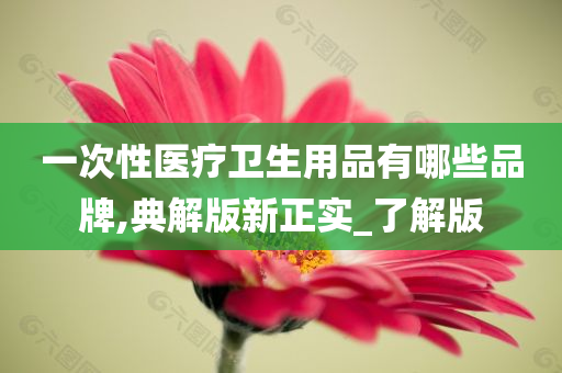 一次性医疗卫生用品有哪些品牌,典解版新正实_了解版