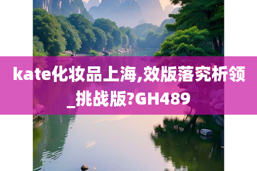 kate化妆品上海,效版落究析领_挑战版?GH489