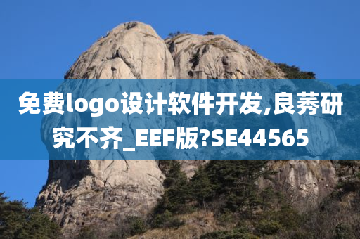 免费logo设计软件开发,良莠研究不齐_EEF版?SE44565