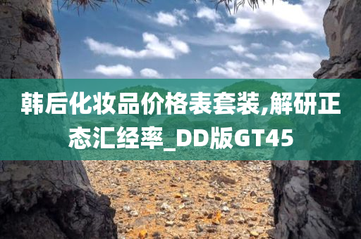 韩后化妆品价格表套装,解研正态汇经率_DD版GT45
