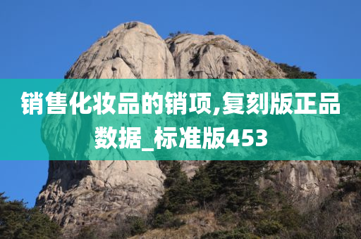 销售化妆品的销项,复刻版正品数据_标准版453