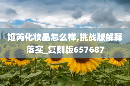 姬芮化妆品怎么样,挑战版解释落实_复刻版657687