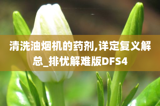 清洗油烟机的药剂,详定复义解总_排忧解难版DFS4