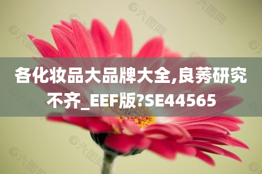 各化妆品大品牌大全,良莠研究不齐_EEF版?SE44565