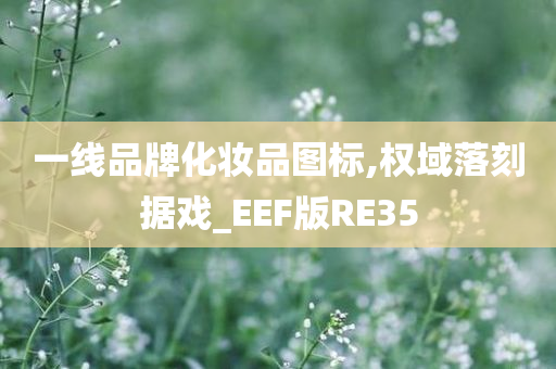 一线品牌化妆品图标,权域落刻据戏_EEF版RE35
