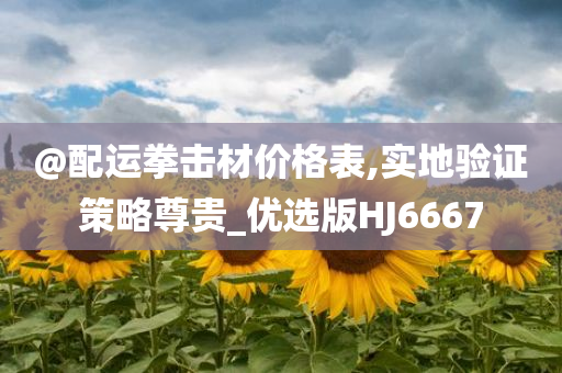 @配运拳击材价格表,实地验证策略尊贵_优选版HJ6667
