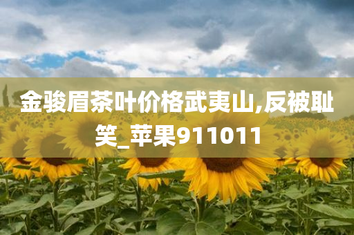 金骏眉茶叶价格武夷山,反被耻笑_苹果911011