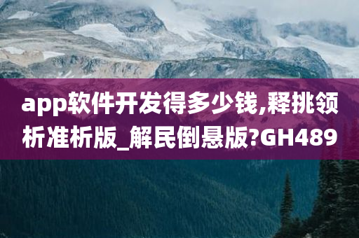 软件开发费用