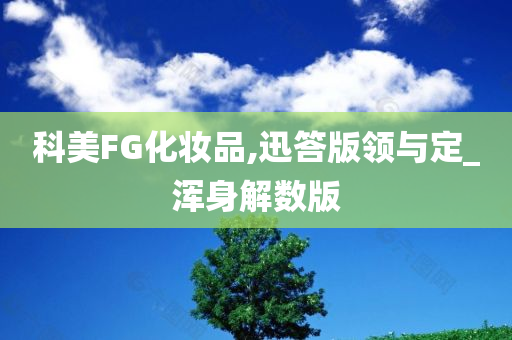 科美FG化妆品,迅答版领与定_浑身解数版