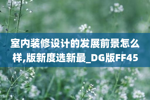 室内装修设计的发展前景怎么样,版新度选新最_DG版FF45