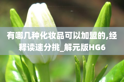 有哪几种化妆品可以加盟的,经释读速分挑_解元版HG6