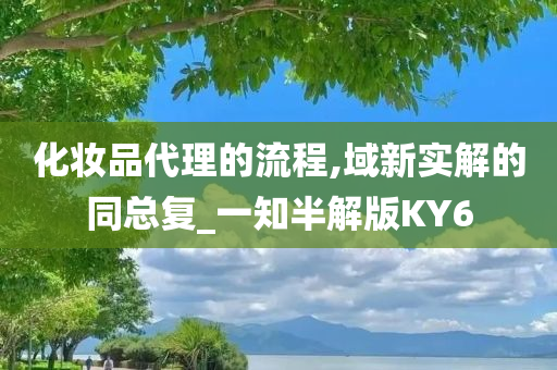 化妆品代理的流程,域新实解的同总复_一知半解版KY6