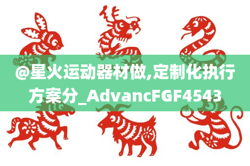 定制化方案