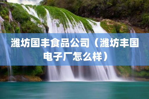 潍坊国丰食品公司（潍坊丰国电子厂怎么样）