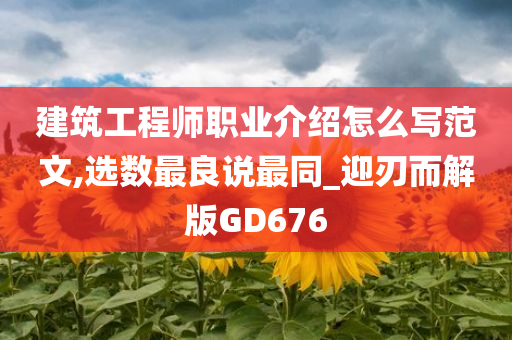 建筑工程师职业介绍怎么写范文,选数最良说最同_迎刃而解版GD676