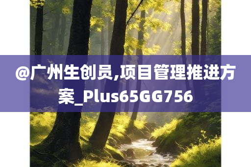 @广州生创员,项目管理推进方案_Plus65GG756