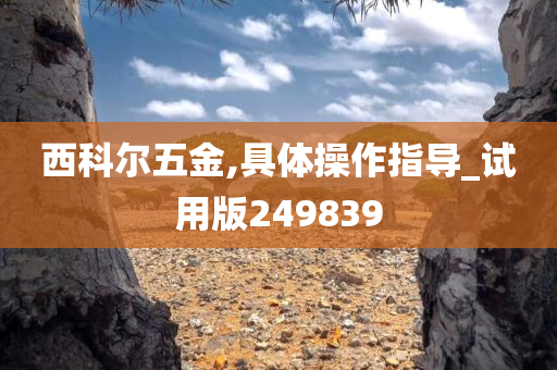 西科尔五金,具体操作指导_试用版249839