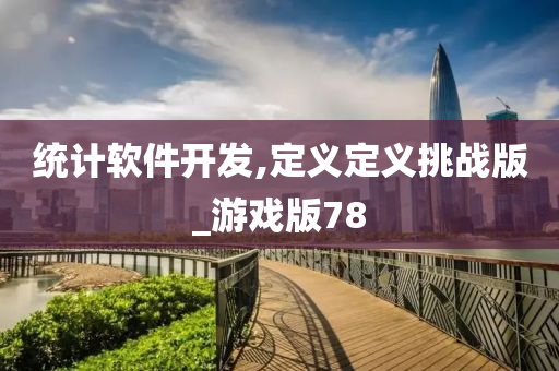统计软件开发,定义定义挑战版_游戏版78