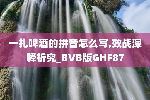 一扎啤酒的拼音怎么写,效战深释析究_BVB版GHF87