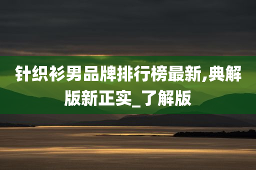 针织衫男品牌排行榜最新,典解版新正实_了解版