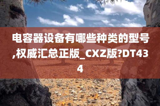 电容器设备有哪些种类的型号,权威汇总正版_CXZ版?DT434