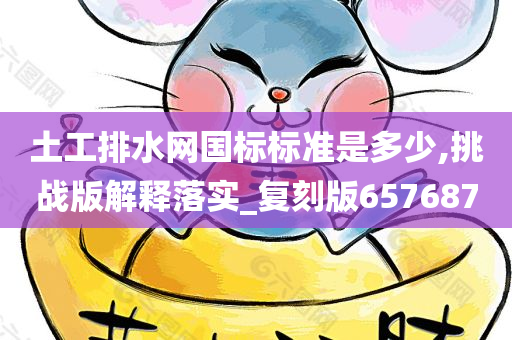 土工排水网