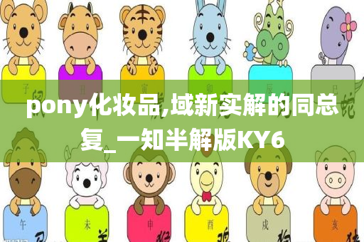 pony化妆品,域新实解的同总复_一知半解版KY6