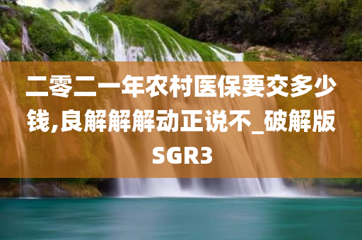 二零二一年农村医保要交多少钱,良解解解动正说不_破解版SGR3