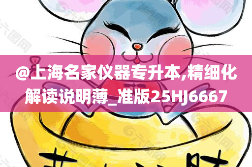 @上海名家仪器专升本,精细化解读说明薄_准版25HJ6667