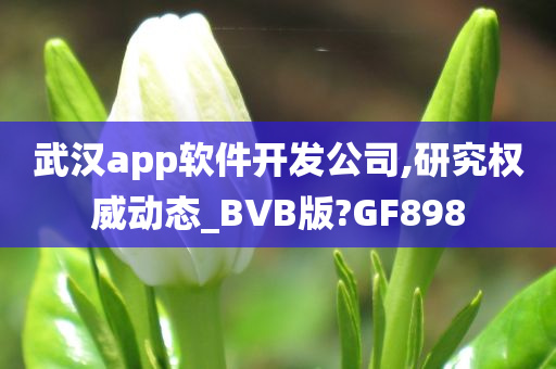武汉app软件开发公司,研究权威动态_BVB版?GF898